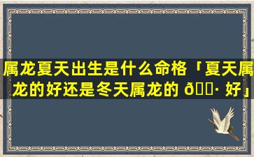 属龙夏天出生是什么命格「夏天属龙的好还是冬天属龙的 🕷 好」